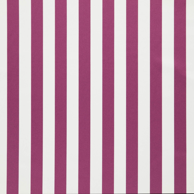 JF Fabric Falsetto 55J7611 Le Cirque Book 59% Cotton, 41% Polyester India 50000 Horizontal: 2 and Vertical: 55 - My Fabric Connection -