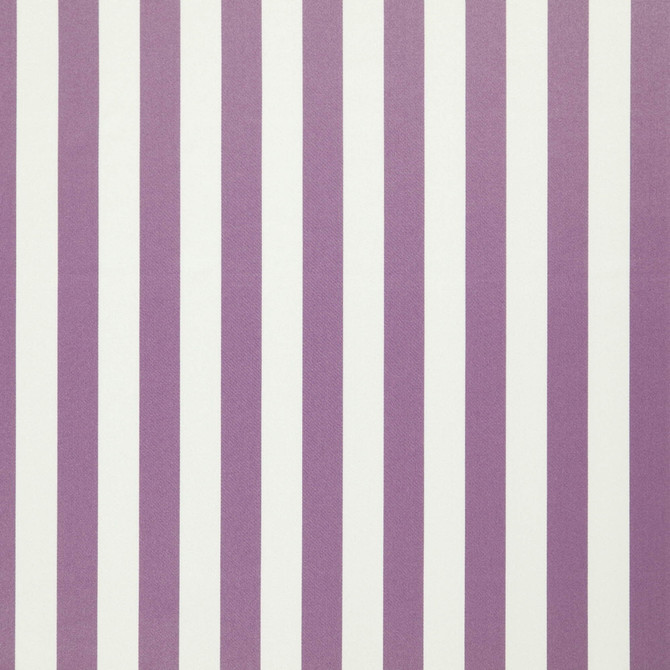 JF Fabric Falsetto 57J7611 Le Cirque Book 59% Cotton, 41% Polyester India 50000 Horizontal: 2 and Vertical: 55 - My Fabric Connection -