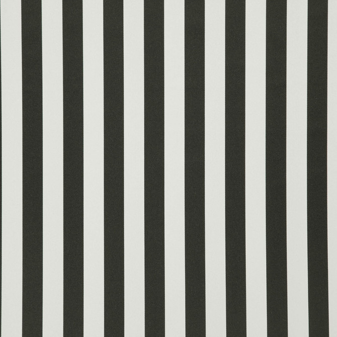 JF Fabric Falsetto 97J7611 Le Cirque Book 59% Cotton, 41% Polyester India 50000 Horizontal: 2 and Vertical: 55 - My Fabric Connection -