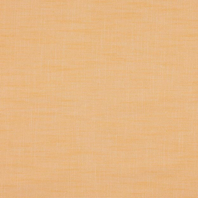 JF Fabric PAPARAZZI 19J7301 WINNING WINDOWS II 52% Cotton, 48% Polyester INDIA ABRASIO (HEAVY DUTY- 30,000+ DOUBLE RUBS) Horizontal: N/A and Vertical: N/A 118.00 - My Fabric Connection -