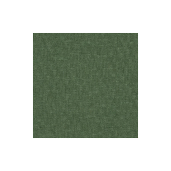 Clarke And Clarke Fabric Amalfi Forest CLARKE & CLARKE AMALFI COTTON - 77%;POLYESTER - 23% India HEAVY Horizontal: 0 and Vertical: 0 54 - My Fabric Connection -
