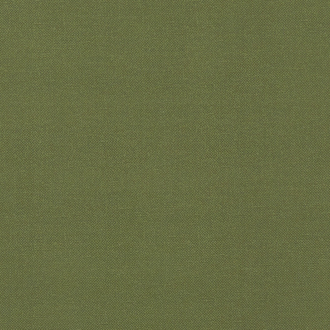 Clarke And Clarke Fabric Renzo Forest CLARKE & CLARKE RENZO POLYESTER - 100% China HEAVY Horizontal: 0 and Vertical: 0 55 - My Fabric Connection -