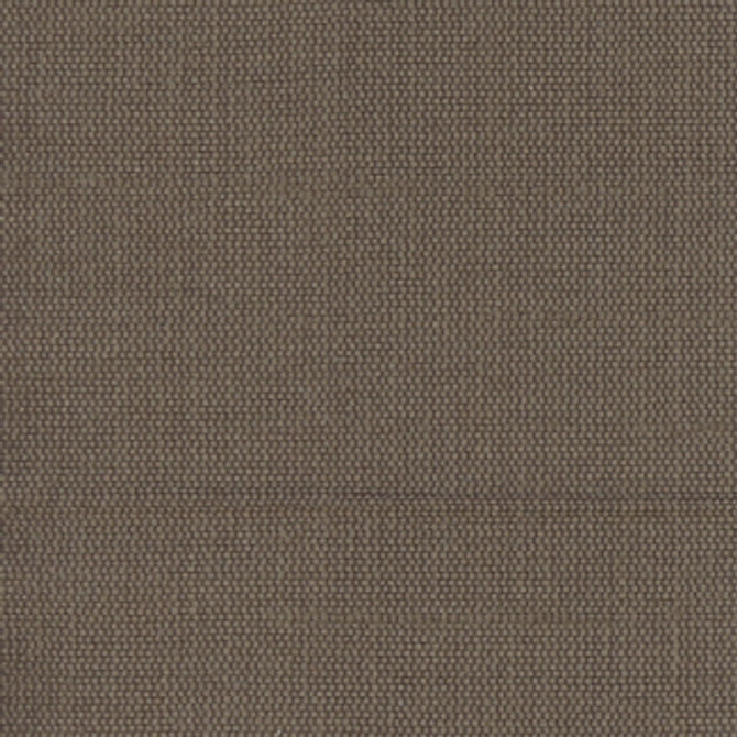 Carole Fabric Succulent Coffee Bean Succulent II 100% Polyester India N/A Horizontal: 0" and Vertical: 0" 54" - My Fabric Connection -