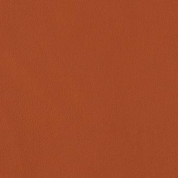 Burch Fabric Legacy Terra Cotta LY-610 our website for purchase 100% Polyurethane USA or Asia Water-based cleaning agents and foam may be used for cleaning. This fabric may also be cleaned with mild, water-free solvents. Cleaning by a professional cleaning service is recommended. Horizontal: - and Vertical: - 54" - My Fabric Connection -