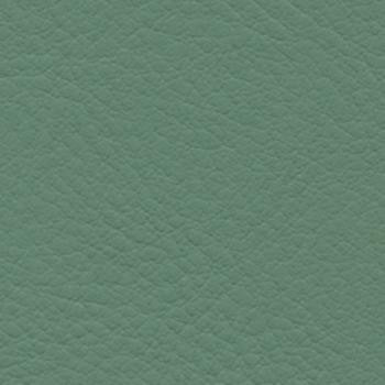 Burch Fabric Verve Basil EVE-006 our website for purchase 100% Polyurethane USA or Asia Water-based cleaning agents and foam may be used for cleaning. This fabric may also be cleaned with mild, water-free solvents. Cleaning by a professional cleaning service is recommended. Horizontal: - and Vertical: - 54" - My Fabric Connection -