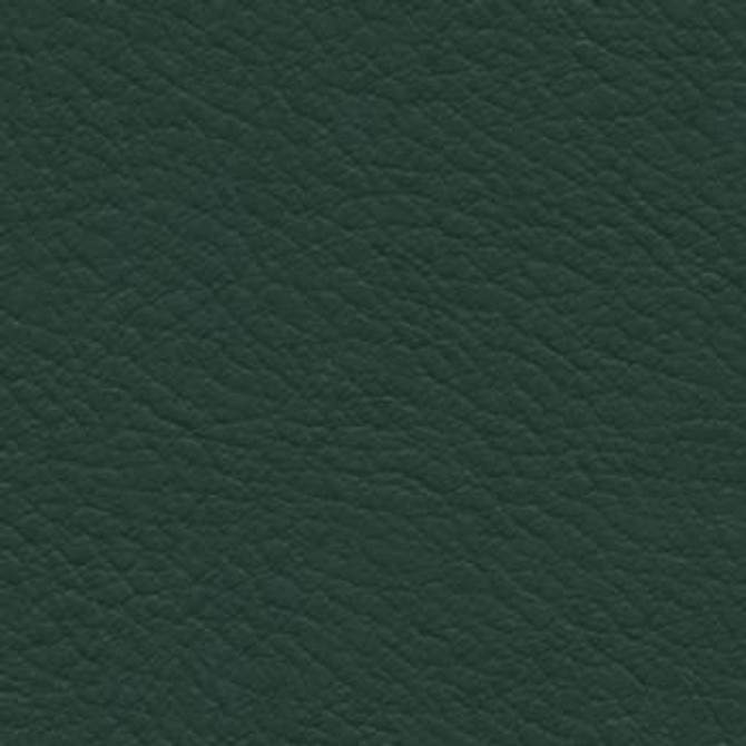 Nassimi Fabric Verve Evergreen See sample 100% Polyurethane 250000 Horizontal: Not Applicable and Vertical: Not Applicable 54" - My Fabric Connection -