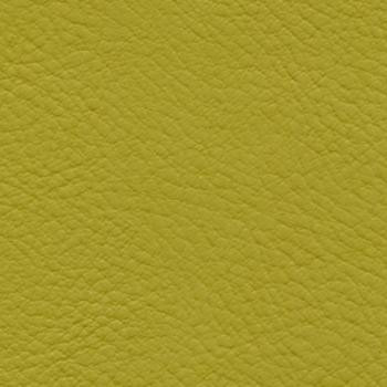 Nassimi Fabric Verve Guacamole EVE-015 See sample 100% Polyurethane USA or Imported Water-based cleaning agents and foam may be used for cleaning. Cleaning by a professional cleaning service is recommended. 54 - My Fabric Connection -