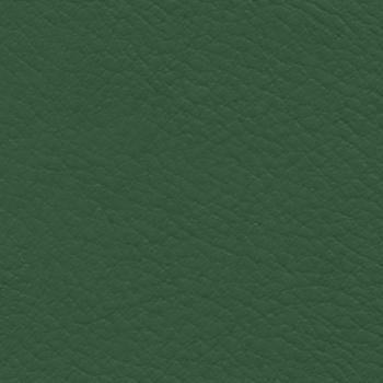 Nassimi Fabric Verve Kirby EVE-018 See sample 100% Polyurethane USA or Imported Water-based cleaning agents and foam may be used for cleaning. Cleaning by a professional cleaning service is recommended. </p><p>Repeat: Horizontal: and Vertical: 54" - My Fabric Connection -