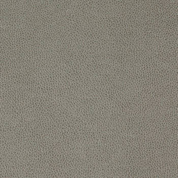 Nassimi Fabric Tolstoy Flintstone See sample 100% Polyurethane 250000 Horizontal: Not Applicable and Vertical: Not Applicable 54" - My Fabric Connection -