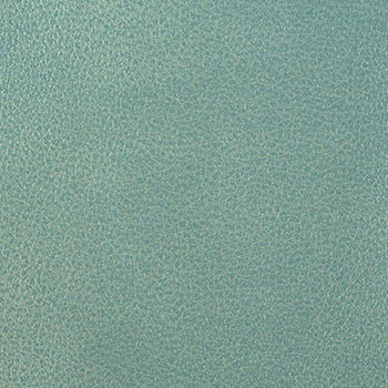 Nassimi Fabric Clarke Aquamarine See sample 100% Polyurethane 250000 Horizontal: Not Applicable and Vertical: Not Applicable 54" - My Fabric Connection -