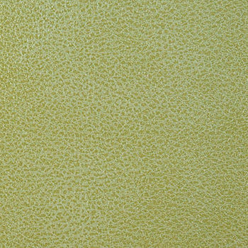 Nassimi Fabric Clarke Peridot See sample 100% Polyurethane 250000 Horizontal: Not Applicable and Vertical: Not Applicable 54" - My Fabric Connection -