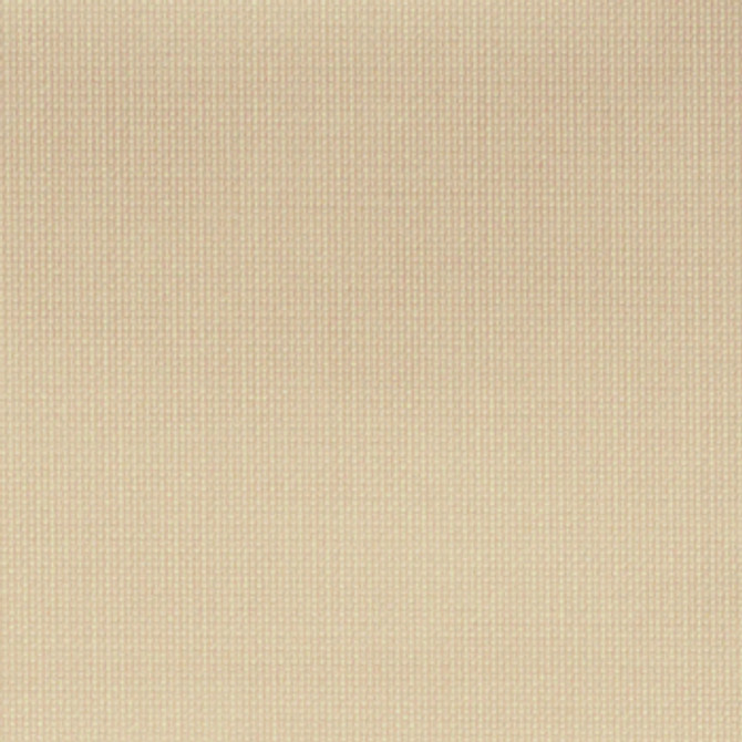Nassimi Fabric Huxley Cottonseed See sample 100% Polyurethane 300000 Horizontal: Not Applicable and Vertical: Not Applicable 54" - My Fabric Connection -