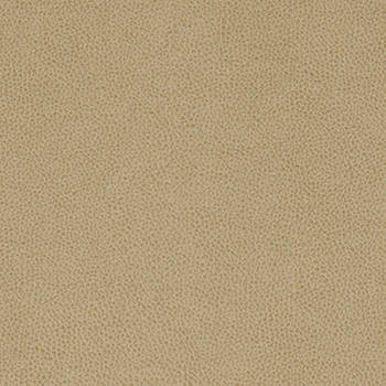 Burch Fabric Tolstoy Rye WTL-014 our website for purchase 100% Polyurethane USA or Asia Water-based cleaning agents and foam may be used for cleaning. This fabric may also be cleaned with mild, water-free solvents. Cleaning by a professional cleaning service is recommended. Horizontal: - and Vertical: - 54" - My Fabric Connection -