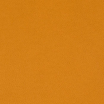 Nassimi Fabric Tolstoy Kumquat See sample 100% Polyurethane 250000 Horizontal: Not Applicable and Vertical: Not Applicable 54" - My Fabric Connection -
