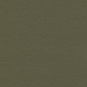Enduratex Fabric Liberty Eucalyptus See sample 100% Vinyl 100000 Horizontal: Not Applicable and Vertical: Not Applicable 54" - My Fabric Connection -