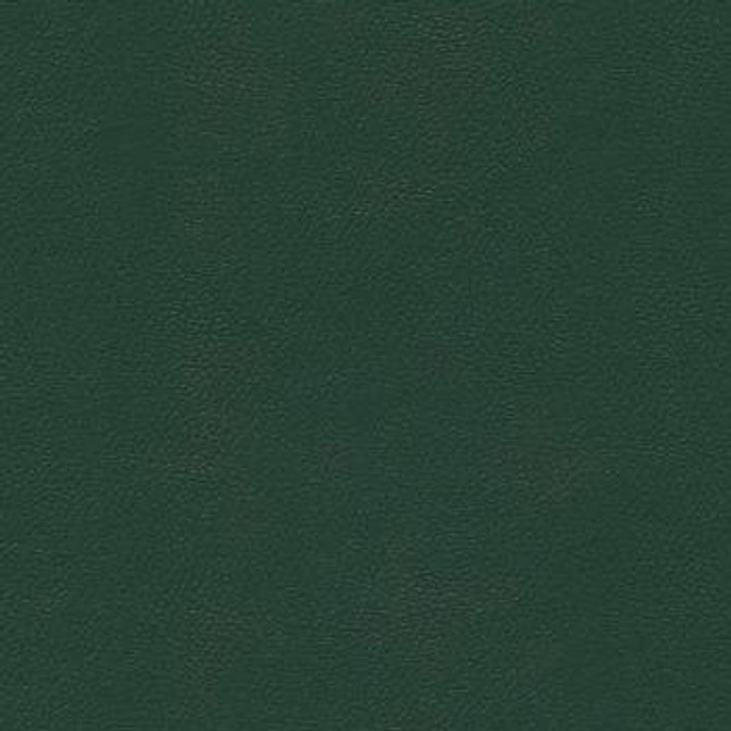 CGPC Fabric Liberty Forest Green 1008485 See sample 100% Vinyl USA or Imported Water-based cleaning agents and foam may be used for cleaning. Cleaning by a professional cleaning service is recommended. </p><p>Repeat: Horizontal: and Vertical: 54" - My Fabric Connection -