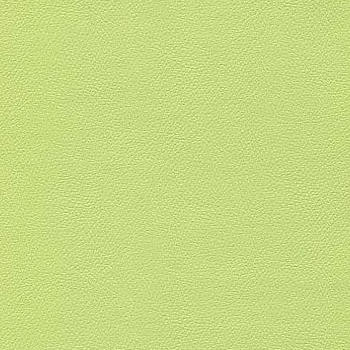 CGPC Fabric Liberty Light Lime 1008488 See sample 100% Vinyl USA or Imported Water-based cleaning agents and foam may be used for cleaning. Cleaning by a professional cleaning service is recommended. </p><p>Repeat: Horizontal: and Vertical: 54" - My Fabric Connection -