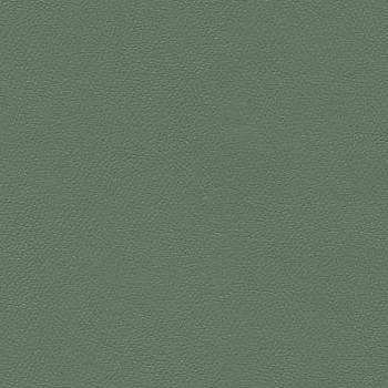 CGPC Fabric Liberty Viscaya Palm 1008483 See sample 100% Vinyl USA or Imported Water-based cleaning agents and foam may be used for cleaning. Cleaning by a professional cleaning service is recommended. </p><p>Repeat: Horizontal: and Vertical: 54" - My Fabric Connection -