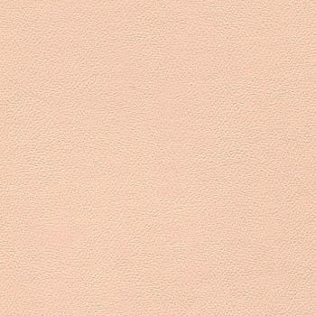 Burch Fabric Liberty Shell 1008512 our website for purchase 100% Vinyl USA or Asia Water-based cleaning agents and foam may be used for cleaning. Cleaning by a professional cleaning service is recommended. Horizontal: - and Vertical: - 54" - My Fabric Connection -