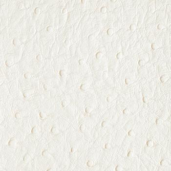 Nassimi Fabric Bondi White Heron PBO-005 See sample 100% Vinyl USA or Imported Water-based cleaning agents and foam may be used for cleaning. Cleaning by a professional cleaning service is recommended. 54 - My Fabric Connection -