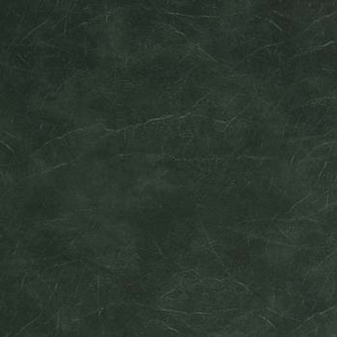 Morbern Fabric Carrara Forest Green CR 503 See sample 100% Vinyl USA or Imported Water-based cleaning agents and foam may be used for cleaning. Cleaning by a professional cleaning service is recommended. </p><p>Repeat: Horizontal: and Vertical: 54" - My Fabric Connection -