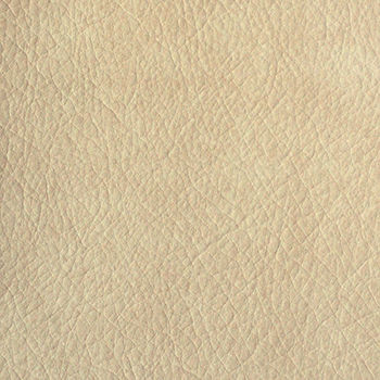 Nassimi Fabric Heritage Cream See sample 100% Vinyl 100000 Horizontal: Not Applicable and Vertical: Not Applicable 54" - My Fabric Connection -