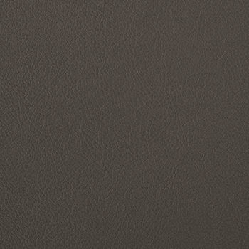 Nassimi Fabric Foundation Seal See sample 100% Vinyl 100000 Horizontal: Not Applicable and Vertical: Not Applicable 54" - My Fabric Connection -