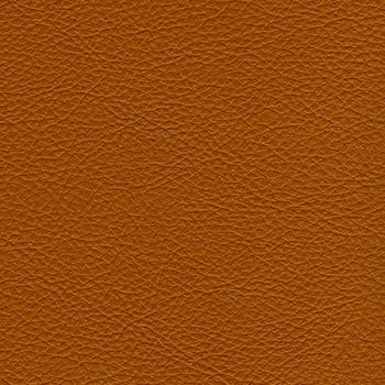Nassimi Fabric Classic Mustang SCL-109 See sample 100% Vinyl USA or Imported Water-based cleaning agents and foam may be used for cleaning. Cleaning by a professional cleaning service is recommended. </p><p>Repeat: Horizontal: and Vertical: 54" - My Fabric Connection -