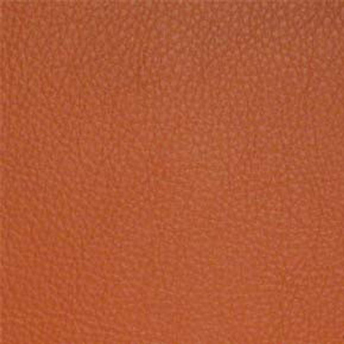 Nassimi Fabric Classic Persimmon SCL-030 See sample 100% Vinyl USA or Imported Water-based cleaning agents and foam may be used for cleaning. Cleaning by a professional cleaning service is recommended. 54 - My Fabric Connection -