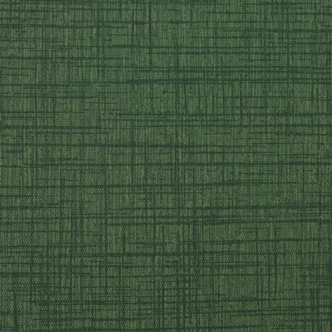 Nassimi Fabric Muse Fresh Cut Grass See sample 100% Vinyl 500000 Horizontal: Not Applicable and Vertical: Not Applicable 54" - My Fabric Connection -