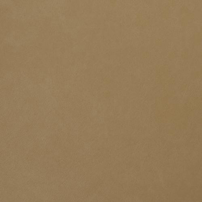 Nassimi Fabric Seduction Ginger See sample 100% Vinyl 500000 Horizontal: Not Applicable and Vertical: Not Applicable 54" - My Fabric Connection -