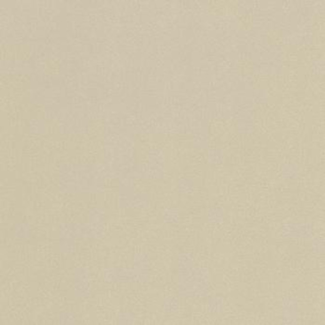 Spradling Fabric Atmosphere Champagne ATM-1802 See sample 100% Vinyl USA or Imported Water-based cleaning agents and foam may be used for cleaning. Cleaning by a professional cleaning service is recommended. 54 - My Fabric Connection -