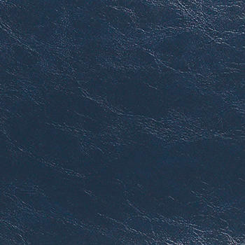 Nassimi Fabric Glaze Regatta See sample 100% Vinyl 100000 Horizontal: Not Applicable and Vertical: Not Applicable 54" - My Fabric Connection -