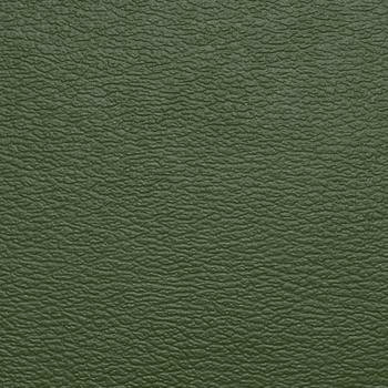 Naugahyde Fabric Spirit Millennium Olive Green See sample 100% Vinyl 1500000 Horizontal: Not Applicable and Vertical: Not Applicable 54" - My Fabric Connection -