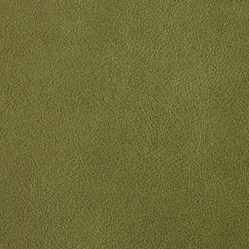 Nassimi Fabric Traveler Thyme See sample 100% Vinyl 250000 Horizontal: Not Applicable and Vertical: Not Applicable 54" - My Fabric Connection -