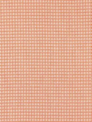 Scalamandre Fabric Bird'S Eye Weave Mango SC270680002 ENDLESS SUMMER INDOOR / OUTDOOR 100% POLYPROPYLENE BELGIUM MEDIUM DUTY Horizontal: 0.375" and Vertical: 0.375" 57 - My Fabric Connection -