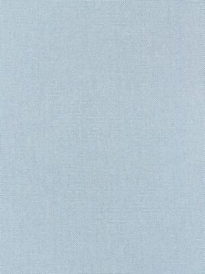 Scalamandre Fabric Canvas Sky SC270670002 ENDLESS SUMMER INDOOR / OUTDOOR 100% POLYPROPYLENE BELGIUM HEAVY DUTY Horizontal: and Vertical: 57 - My Fabric Connection -