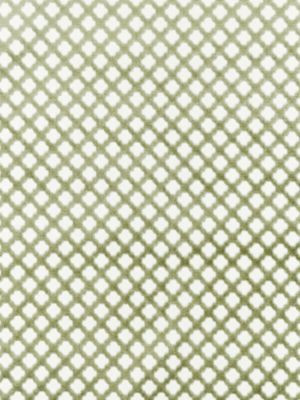 Scalamandre Fabric Pomfret Green Tea SC26692M0017 BOTANICA 53% COTTON 47% VISCOSE INDIA MEDIUM DUTY Horizontal: 1" and Vertical: 1" 55 - My Fabric Connection -
