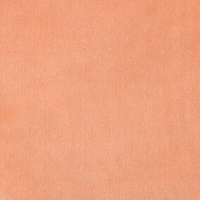 Kravet Design Fabric Versailles-E220580 COTTON - 100% Netherlands HEAVY Horizontal: 0 and Vertical: 0 54 - My Fabric Connection -