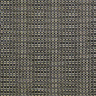 Gaston Y Daniela Fabric Ines Gris/Onyx