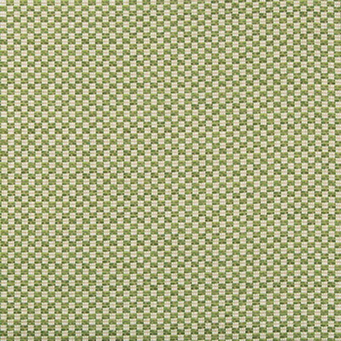 Lee Jofa Fabric Alturas Leaf