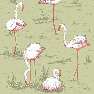 Cole & Son Wallcovering Flamingos Olive