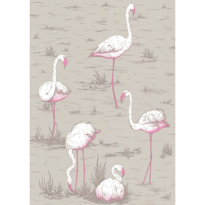 Cole & Son Wallcovering Flamingos Grey COLE & SON NEW CONTEMPORARY PAPER - 100% United Kingdom Horizontal: 21 and Vertical: 27.5 21 - My Fabric Connection -