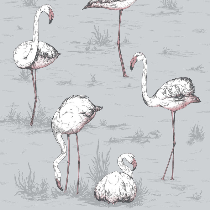 Cole & Son Wallcovering Flamingos Grey Wallcovering PAPER - 100% United Kingdom </p><p>Repeat: H: , V: 27.5 21 - My Fabric Connection -