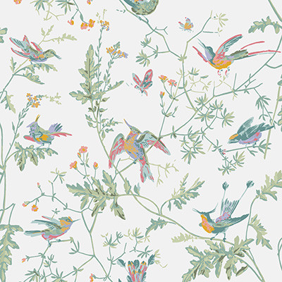Cole & Son Wallcovering Hummingbirds Pastel