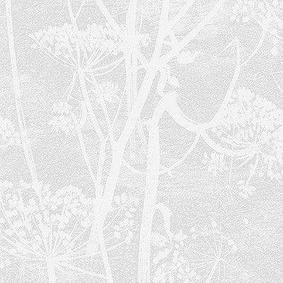 Cole & Son Wallcovering Cow Parsley White