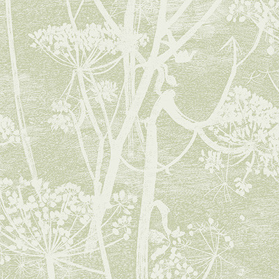 Cole & Son Wallcovering Cow Parsley Olive