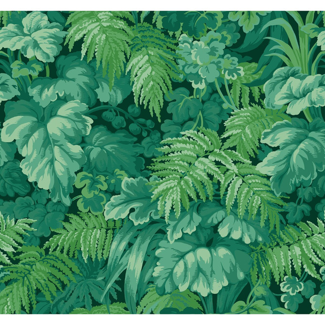 Cole & Son Wallcovering Royal Fernery Forest Green COLE & SON MARTYN LAWRENCE BULLARD PAPER - 100% United Kingdom Horizontal: and Vertical: 25.2 27 - My Fabric Connection -