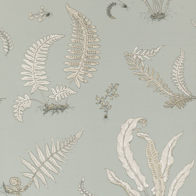 G P & J Baker Wallcovering Ferns Soft Blue SIGNATURE PAPER - 100% United Kingdom - Horizontal: 20.488 and Vertical: 20.882 20.488 - My Fabric Connection -