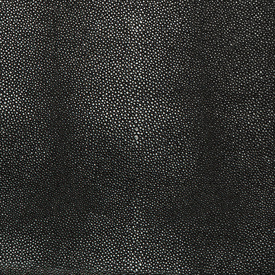 Kravet Contract Fabric Needles Onyx